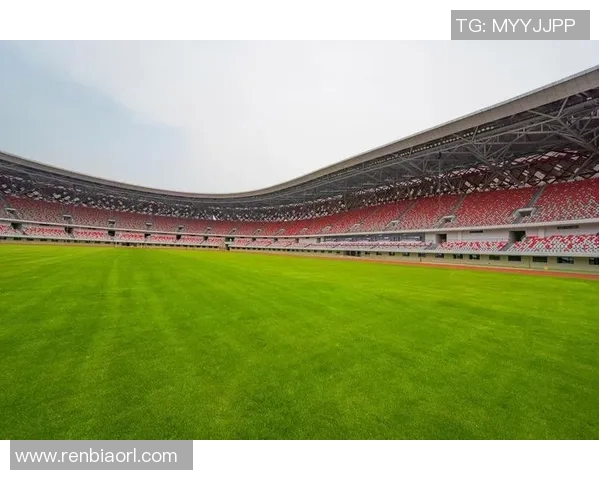 探索足球比赛场地的设计理念与环境影响分析